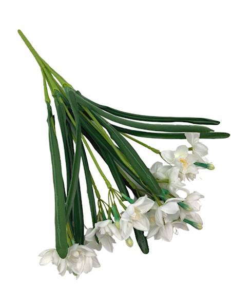 Żonkil bukiet 60 cm biały