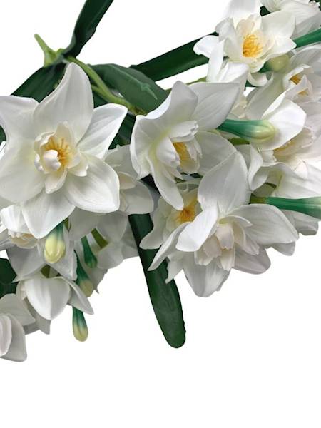 Żonkil bukiet 60 cm biały