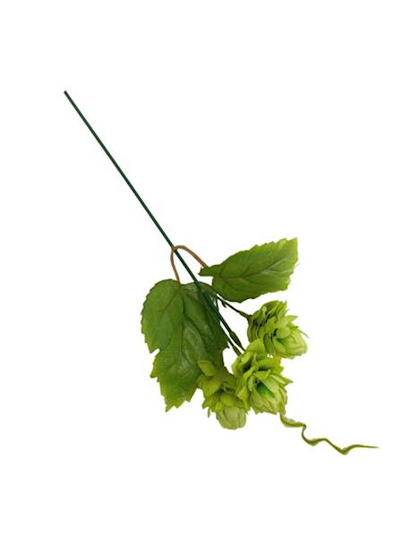 Chmiel pik 26 cm zielony