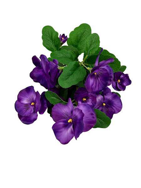 Bukiet bratki 30 cm mocny fiolet