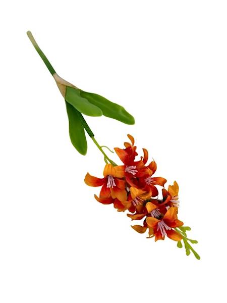 Hiacynt 40 cm pomarańczowy