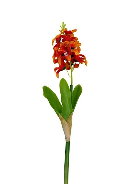 Hiacynt 40 cm pomarańczowy