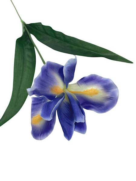 Irys gałązka 65 cm niebieski