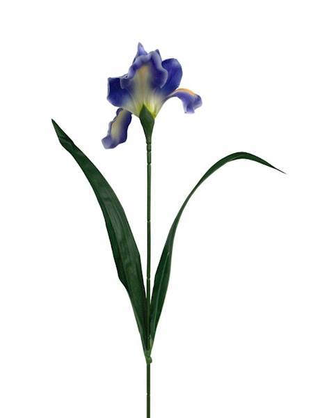 Irys gałązka 65 cm niebieski