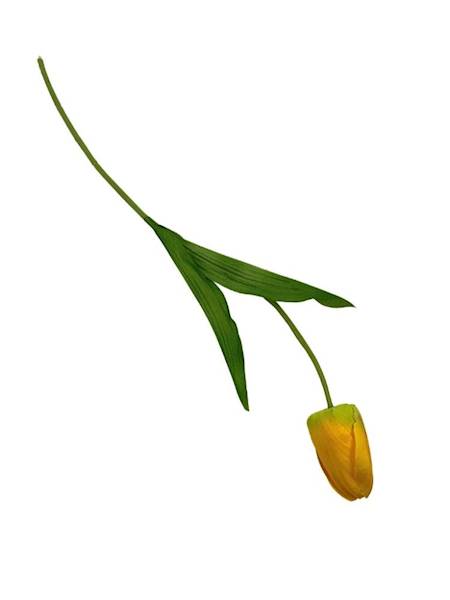 Tulipan gałązka 50 cm żółty