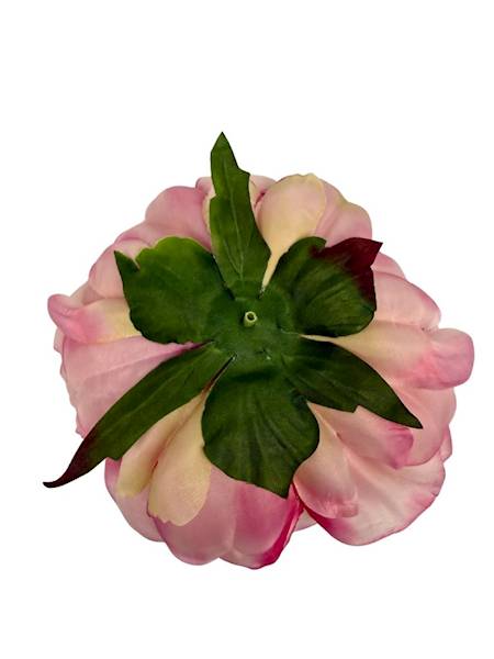 Piwonia główka 15 cm różowa
