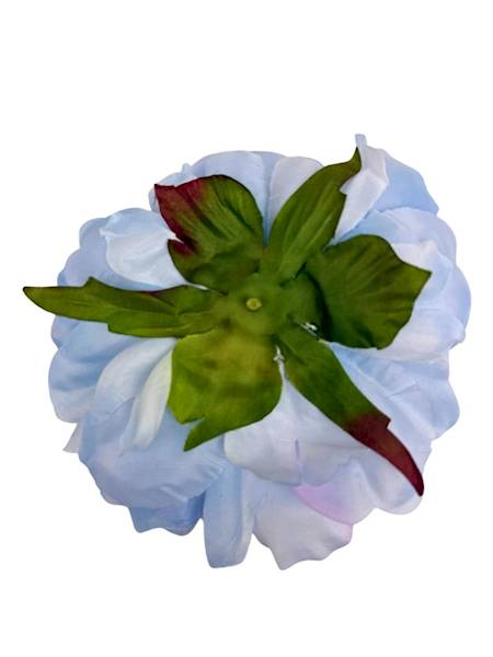 Piwonia główka 15 cm jasno niebieska