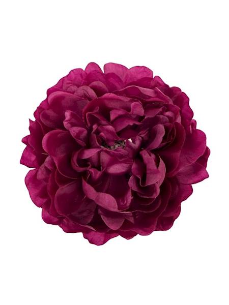 Piwonia główka 15 cm ciemna fuksja
