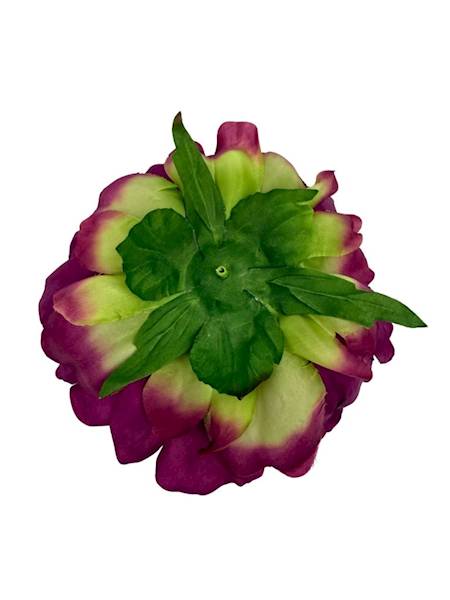 Piwonia główka 15 cm ciemna fuksja