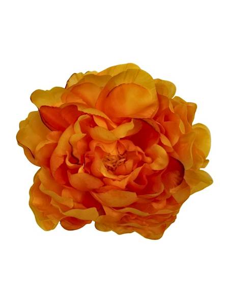 Piwonia główka 15 cm pomarańczowa