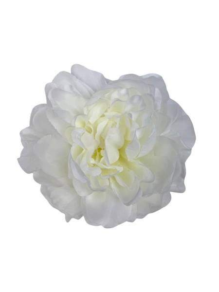 Piwonia główka 15 cm biała