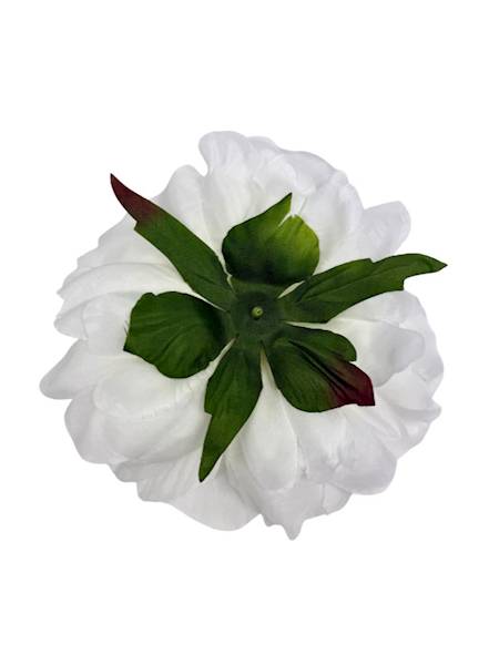 Piwonia główka 15 cm biała