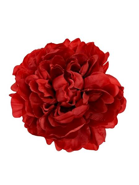 Piwonia główka 15 cm czerwona