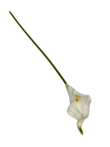 Kantadeska gałązka 44 cm biała z zielonym