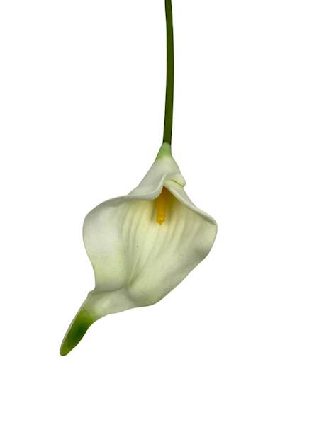 Kantadeska gałązka 44 cm biała z zielonym