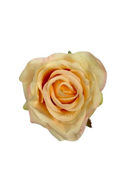 Róża główka 9 cm jasna brzoskwinia