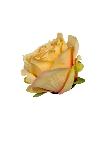 Róża główka 9 cm jasna brzoskwinia