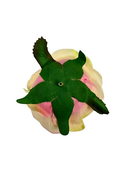 Róża główka 9 cm jasna brzoskwinia