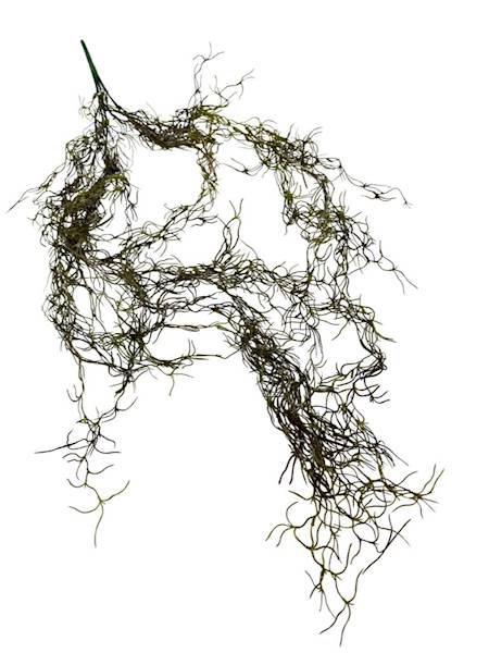 Tilancja zwis 90 cm zielony z bordowym