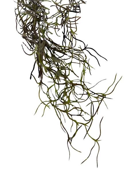 Tilancja zwis 90 cm zielony z bordowym