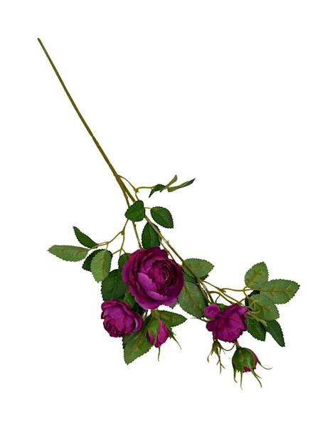 Róża gałązka 50 cm fuksja