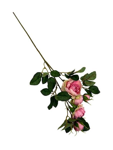 Róża gałązka 50 cm pudrowy róż z zielonym