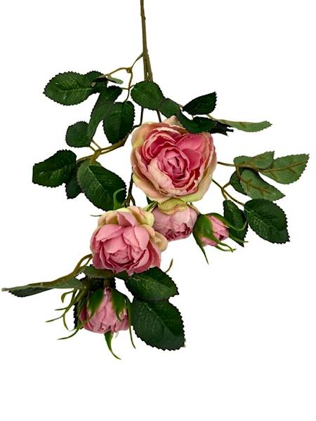 Róża gałązka 50 cm pudrowy róż z zielonym