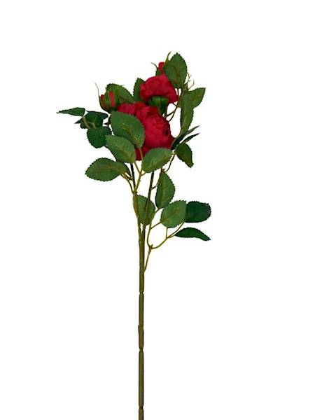 Róża gałązka 50 cm czerwona