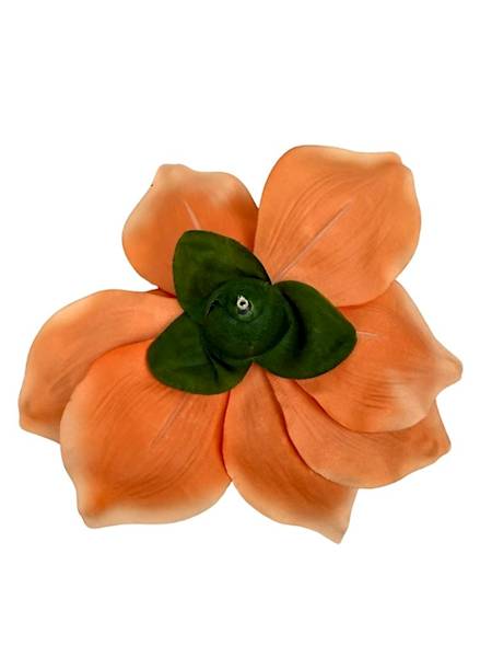 Magnolia główka 22 cm łososiowa