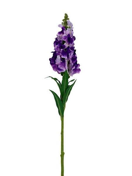 Lwia paszcza gałązka 85 cm odcienie fioletu