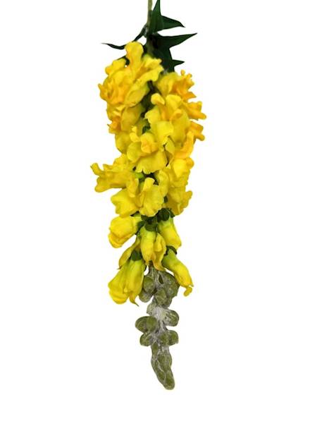 Lwia paszcza gałązka 85 cm żółta