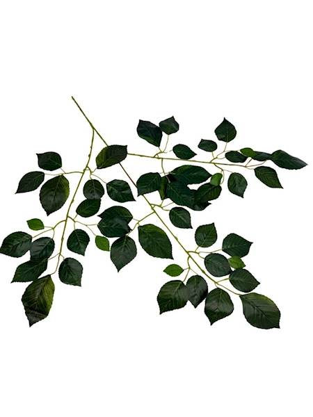 Buk liść 69 cm zielony