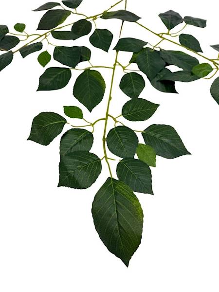 Buk liść 69 cm zielony