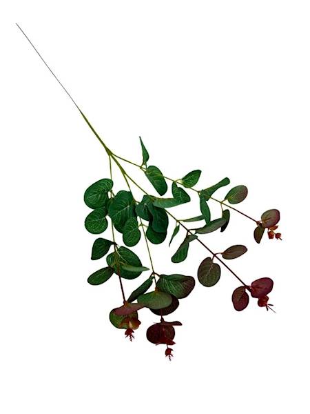 Eukaliptus gałązka 64 cm zielony i bordo