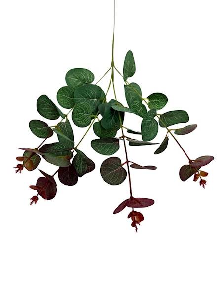 Eukaliptus gałązka 64 cm zielony i bordo