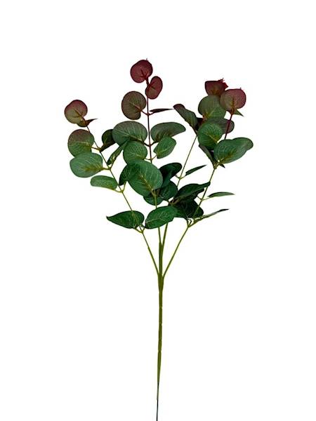 Eukaliptus gałązka 64 cm zielony i bordo