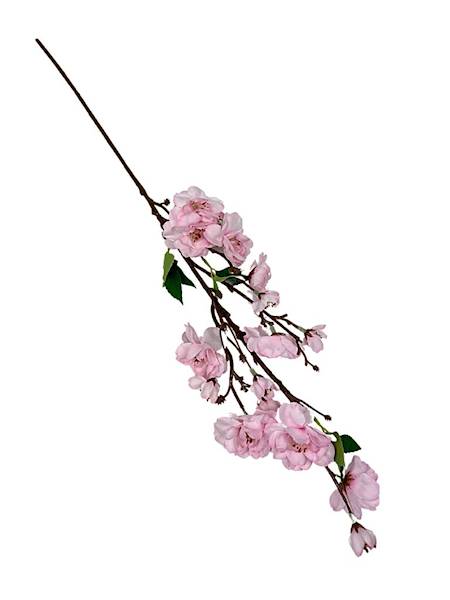 Jabłoń gałązka 60 cm pudrowy róż