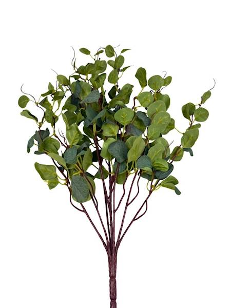 Bukiet eukaliptus  80 cm