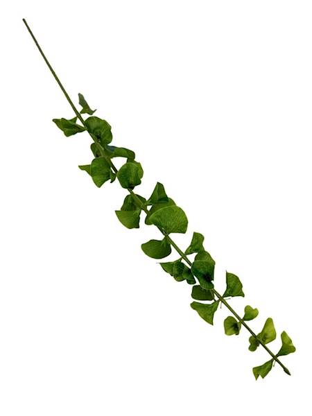 Molucella gałązka 93 cm