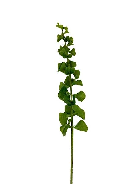 Molucella gałązka 93 cm