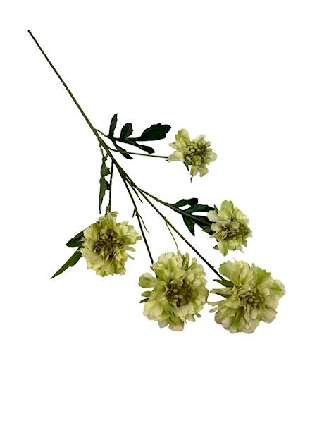 Cynia gałązka 65 cm zielona