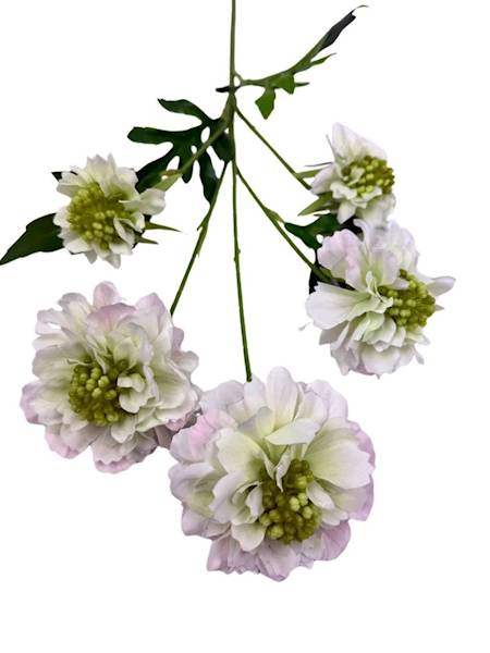 Cynia gałązka 65 cm biało zielona