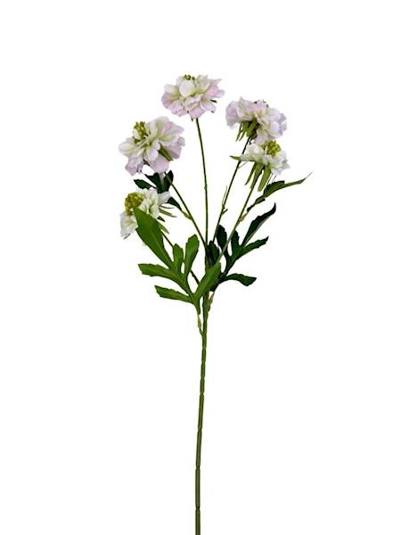 Cynia gałązka 65 cm biało zielona