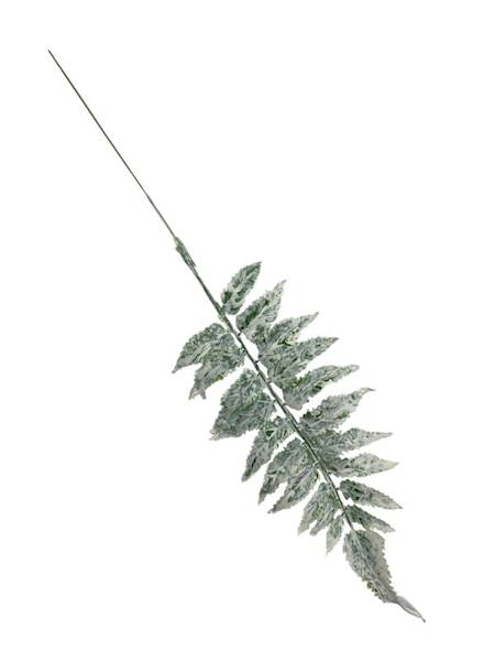 Liść paproci 36 cm bielony 4 SZTUKI