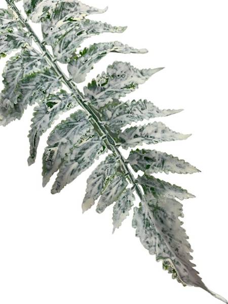 Liść paproci 36 cm zielono biały