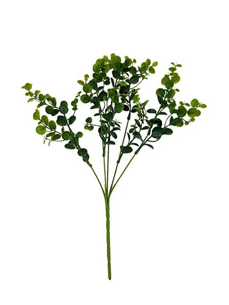 Bukszpan bukiet 34 cm 