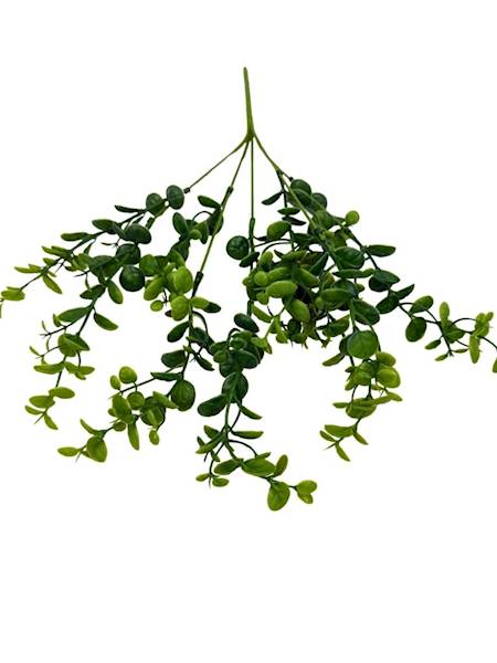 Bukszpan bukiet 34 cm 