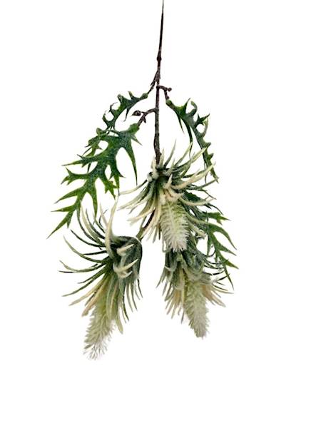 Oset gałązka 46 cm biały