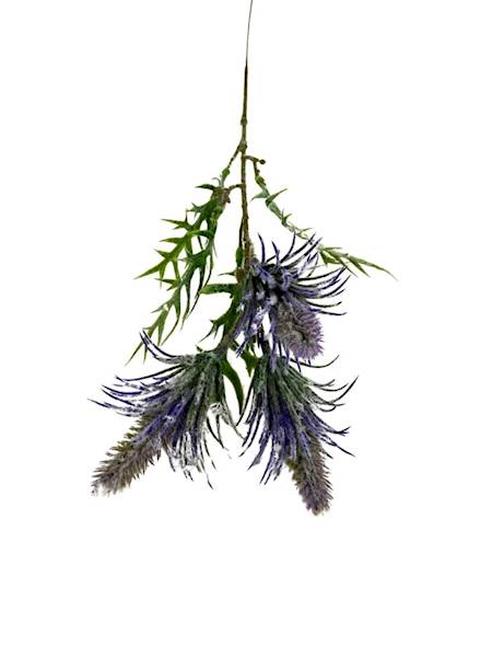 Oset gałązka 46 cm fioletowy