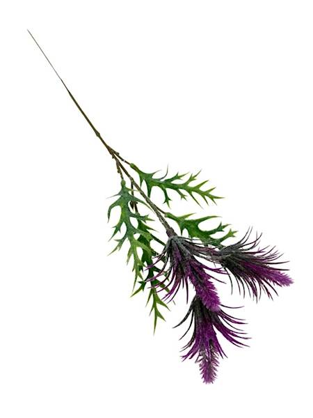 Oset gałązka 46 cm purpurowy